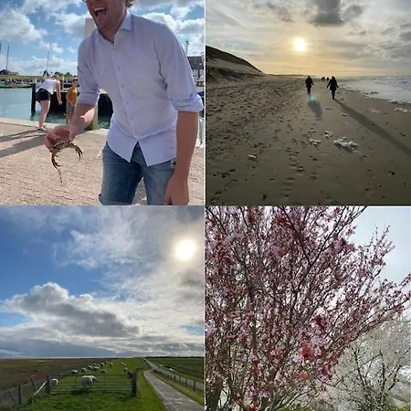 Private, 5-star Vacation On A Beautiful Island Prázdninový dům *