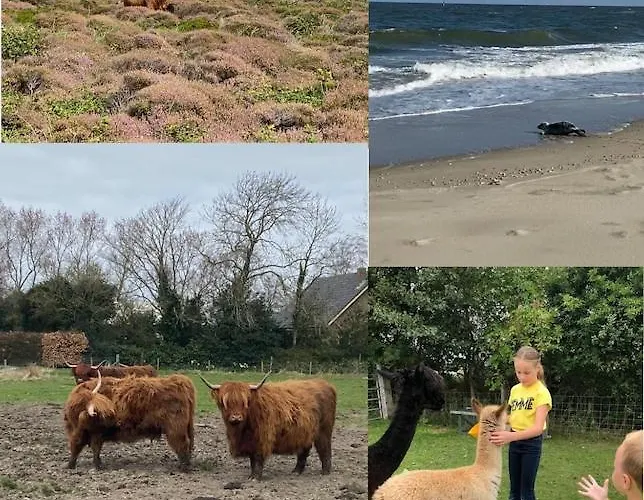 Private, 5-star Vacation On A Beautiful Island Ferienhaus *